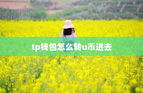tp钱包怎么转u币进去