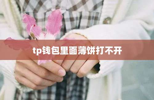 tp钱包里面薄饼打不开