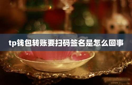 tp钱包转账要扫码签名是怎么回事