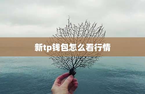 新tp钱包怎么看行情