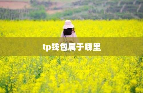 tp钱包属于哪里