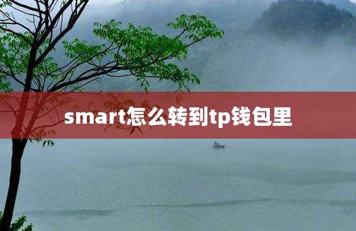 smart怎么转到tp钱包里