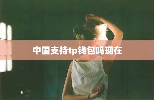 中国支持tp钱包吗现在