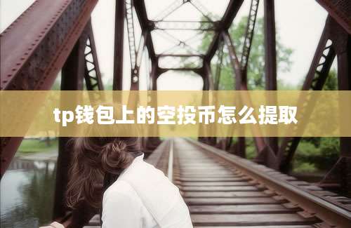 tp钱包上的空投币怎么提取