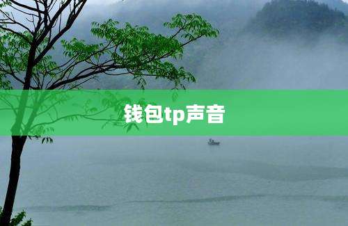 钱包tp声音
