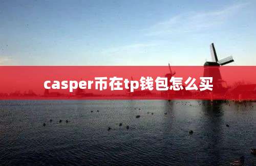 casper币在tp钱包怎么买