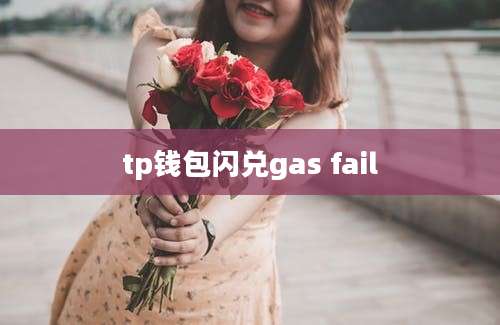tp钱包闪兑gas fail