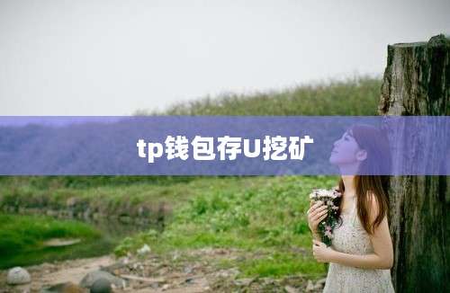 tp钱包存U挖矿