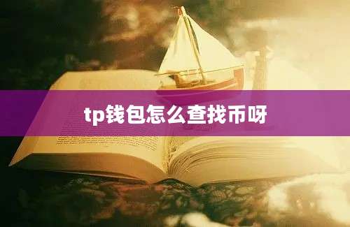 tp钱包怎么查找币呀