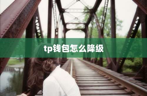 tp钱包怎么降级