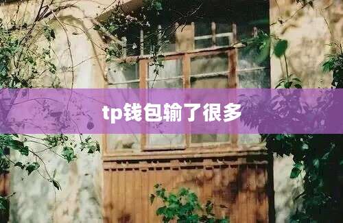tp钱包输了很多