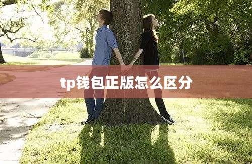 tp钱包正版怎么区分
