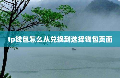tp钱包怎么从兑换到选择钱包页面