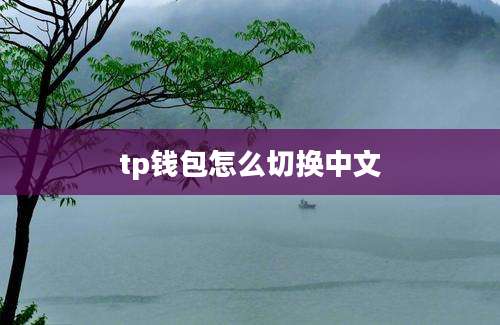 tp钱包怎么切换中文