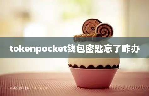 tokenpocket钱包密匙忘了咋办