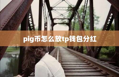 pig币怎么放tp钱包分红