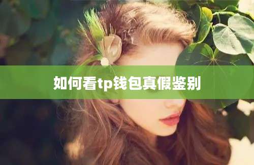 如何看tp钱包真假鉴别
