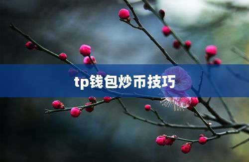 tp钱包炒币技巧