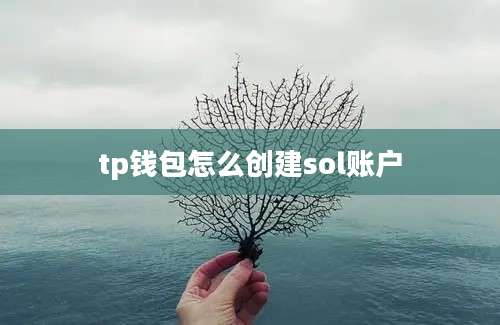 tp钱包怎么创建sol账户