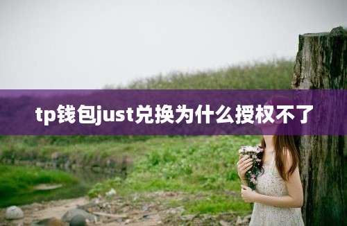 tp钱包just兑换为什么授权不了