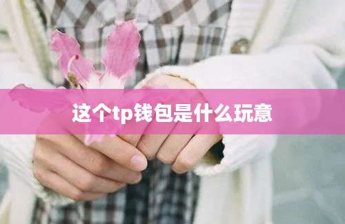 这个tp钱包是什么玩意