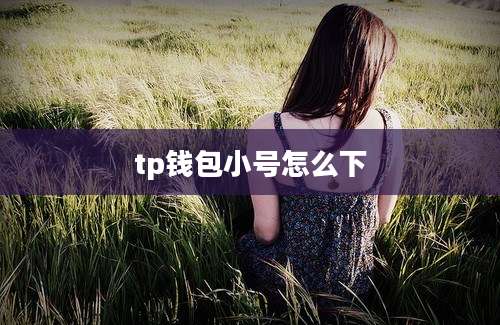 tp钱包小号怎么下