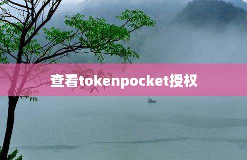 查看tokenpocket授权