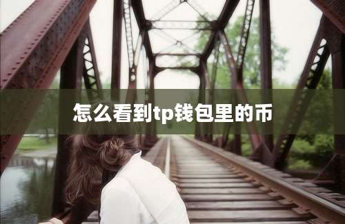 怎么看到tp钱包里的币