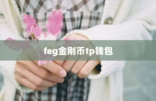 feg金刚币tp钱包