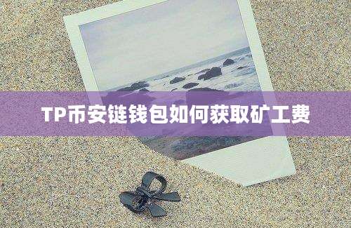 TP币安链钱包如何获取矿工费