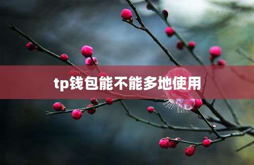 tp钱包能不能多地使用