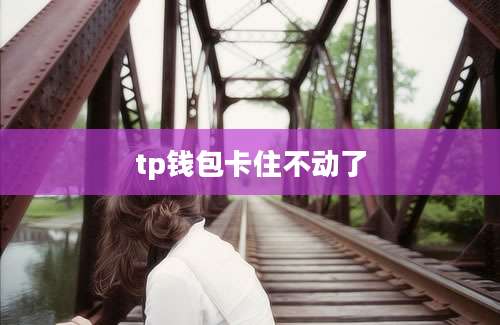 tp钱包卡住不动了