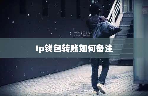 tp钱包转账如何备注