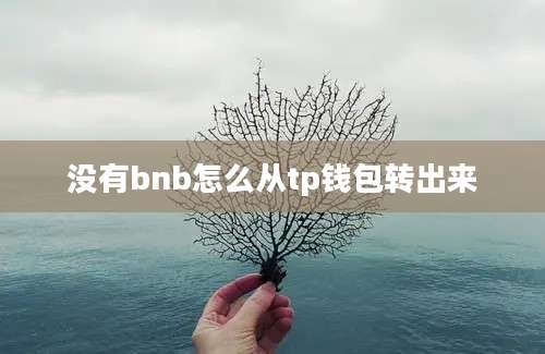 没有bnb怎么从tp钱包转出来