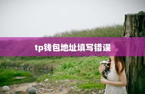tp钱包地址填写错误