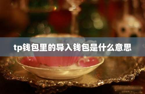 tp钱包里的导入钱包是什么意思