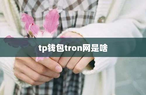 tp钱包tron网是啥