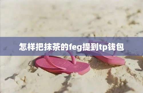 怎样把抹茶的feg提到tp钱包