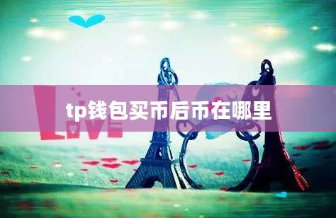 tp钱包买币后币在哪里