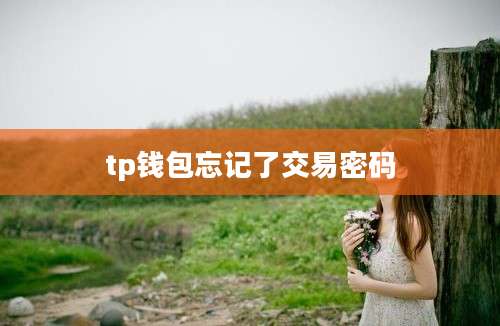 tp钱包忘记了交易密码