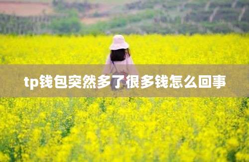 tp钱包突然多了很多钱怎么回事