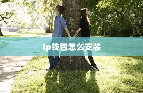 tp钱包怎么安装