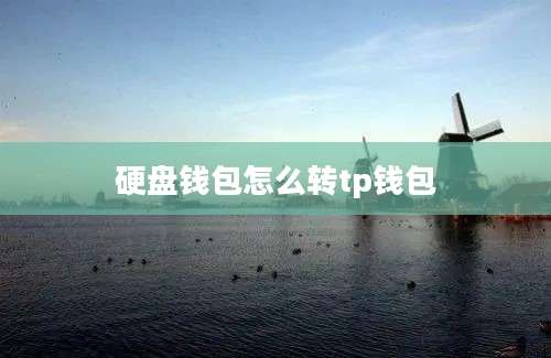 硬盘钱包怎么转tp钱包