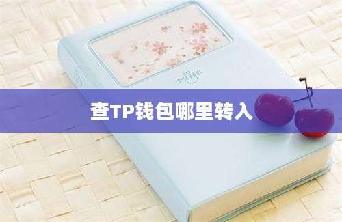 查TP钱包哪里转入