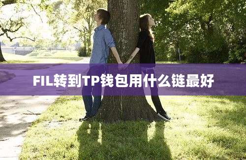 FIL转到TP钱包用什么链最好