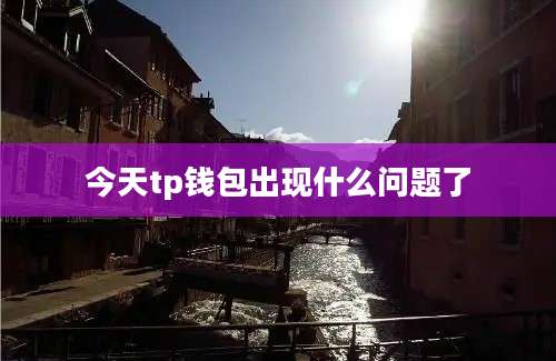 今天tp钱包出现什么问题了