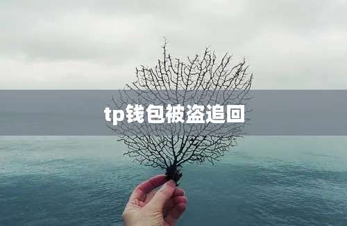tp钱包被盗追回