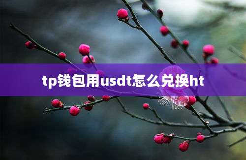 tp钱包用usdt怎么兑换ht