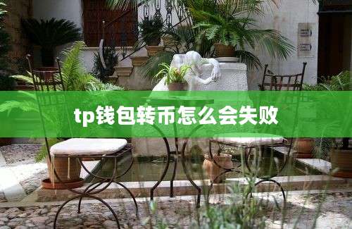 tp钱包转币怎么会失败