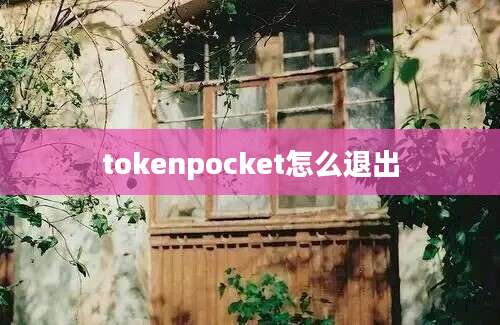 tokenpocket怎么退出
